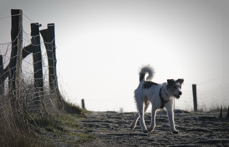 001 SAM_5411 Kopie.jpg